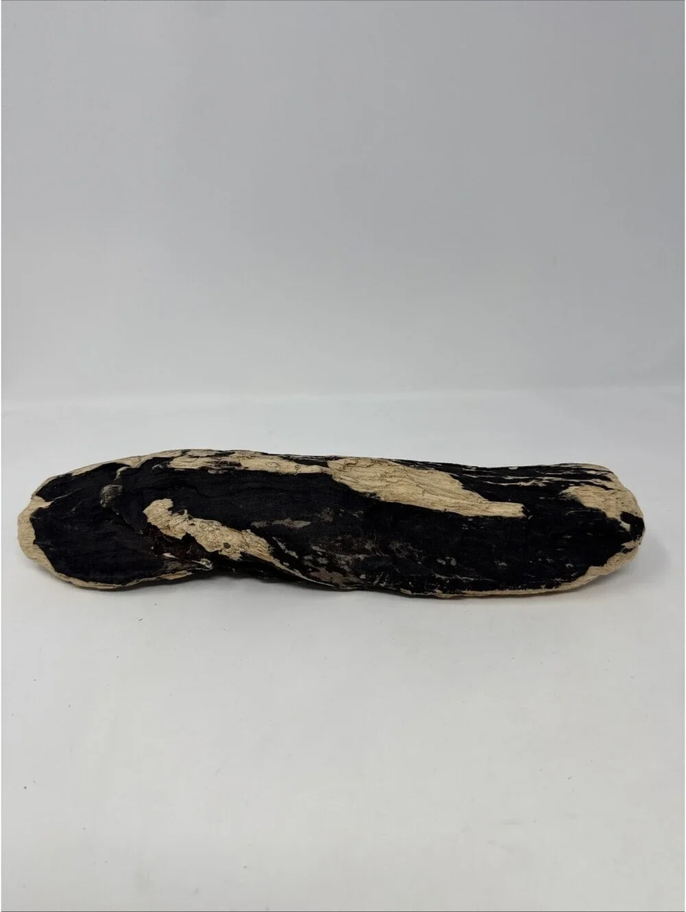 12 Inch driftwood freshwater terrarium aquarium crafts
